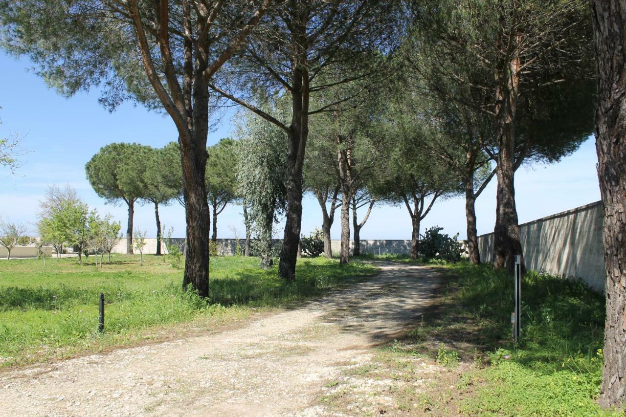 B&B Villa 16 Pini Lecce Bagian luar foto